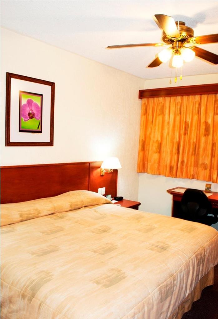 Hotel Marcella Clase Ejecutiva Morelia Exterior foto